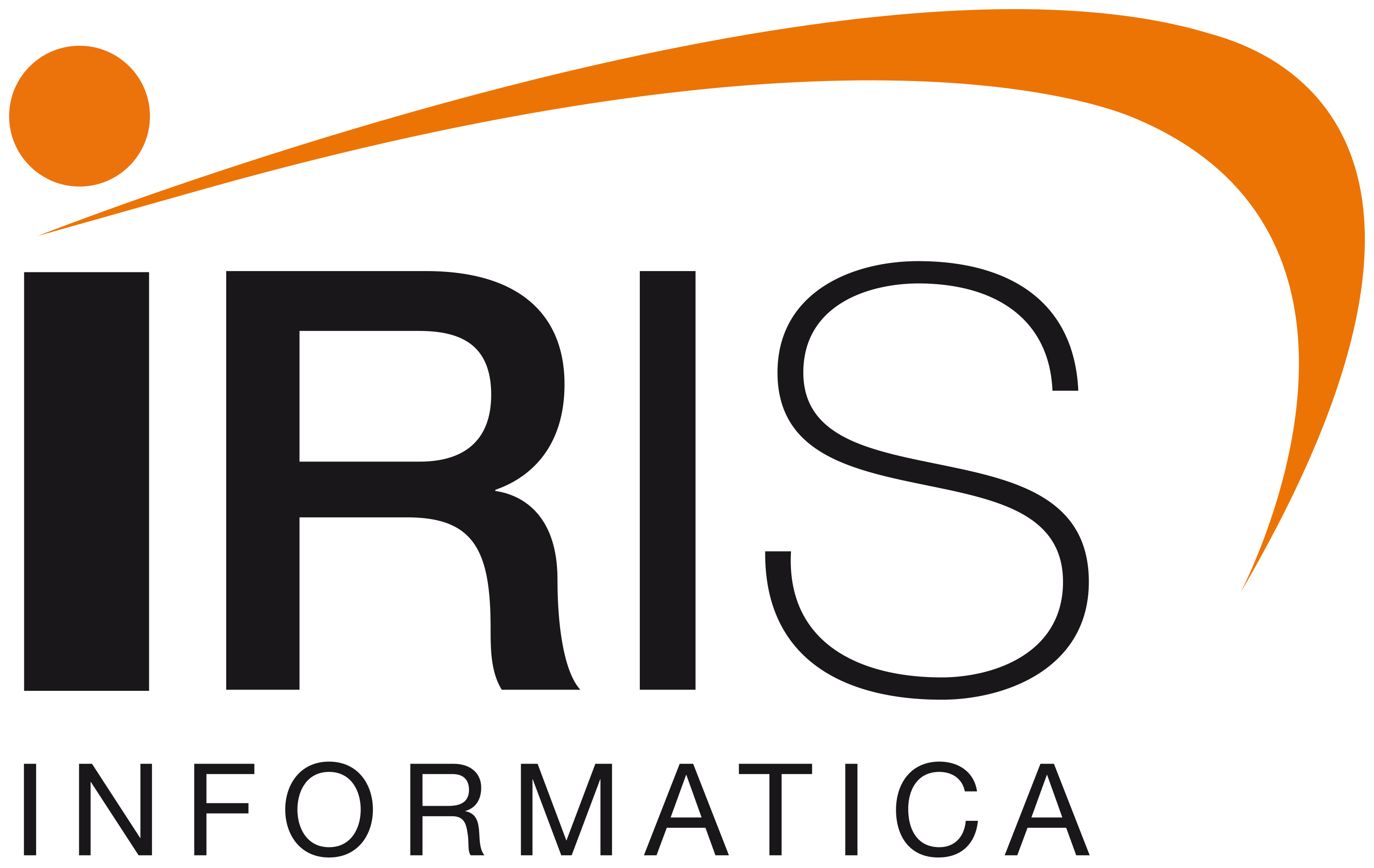logo-iris-informatica